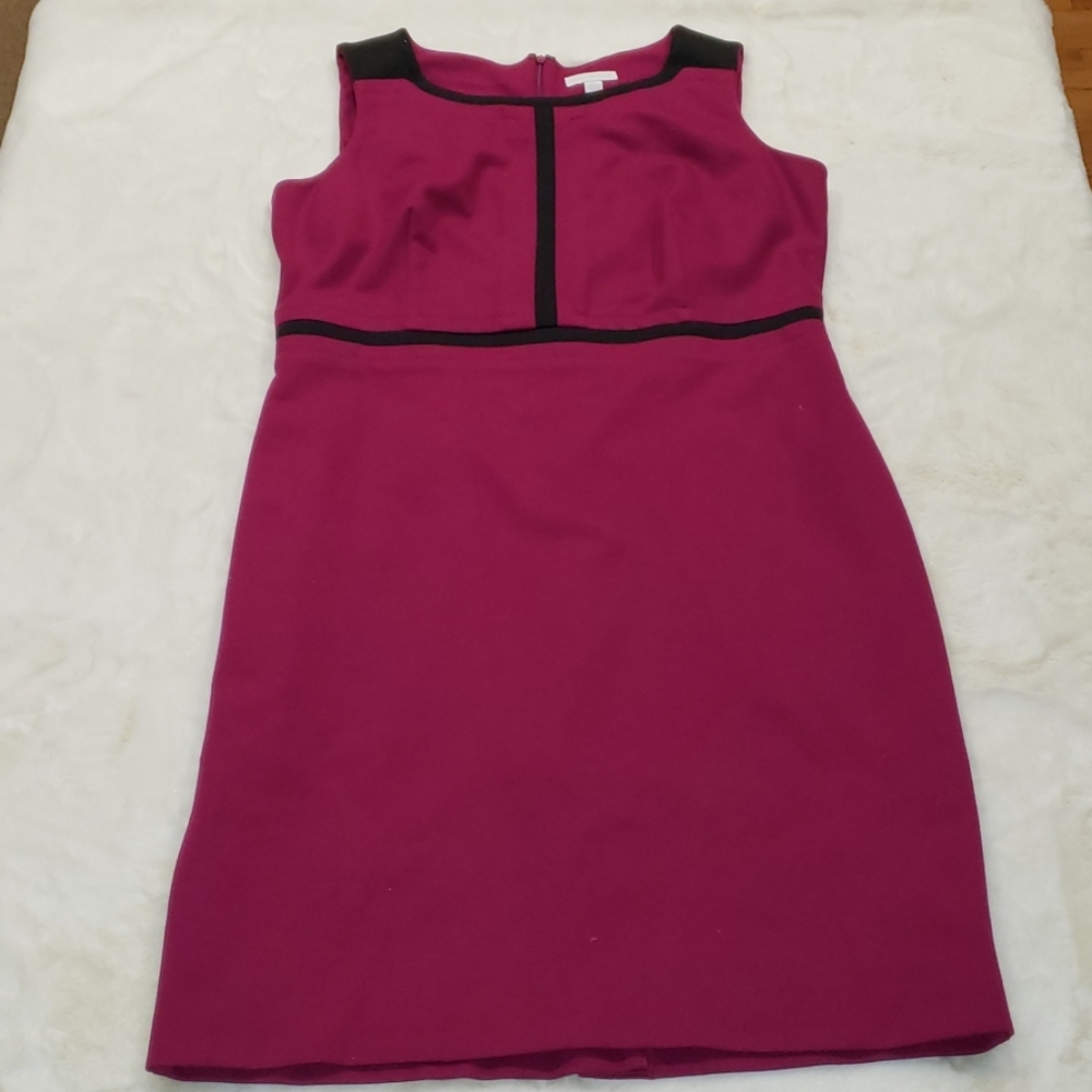 Charter Club Purple and Black dress